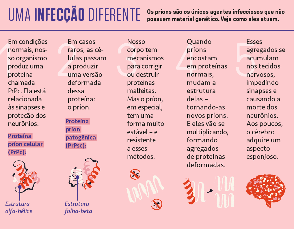 Esquema ilustrado e informativo sobre como ocorre a infec&ccedil;&atilde;o por pr&iacute;ons.