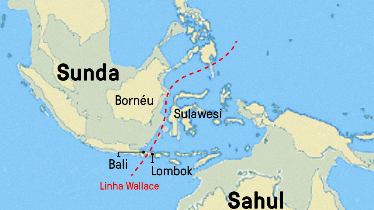 Mapa da linha Wallace.