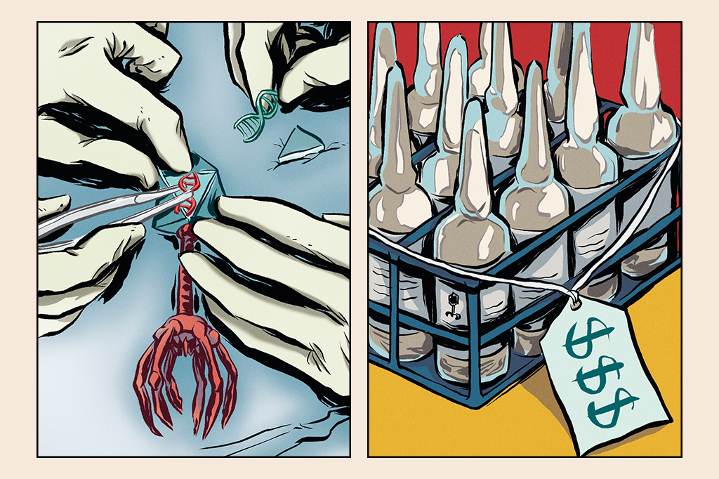 SI_453_Bacteriofagos_site-04 Imagem com dois quadros ilustrados. O primeiro mostra cientistas performando uma cirurgia na cabeça de um bacteriófago, trocando o DNA dela; e no segundo, diversos frascos de remédio em uma caixa, com uma etiqueta de preço.