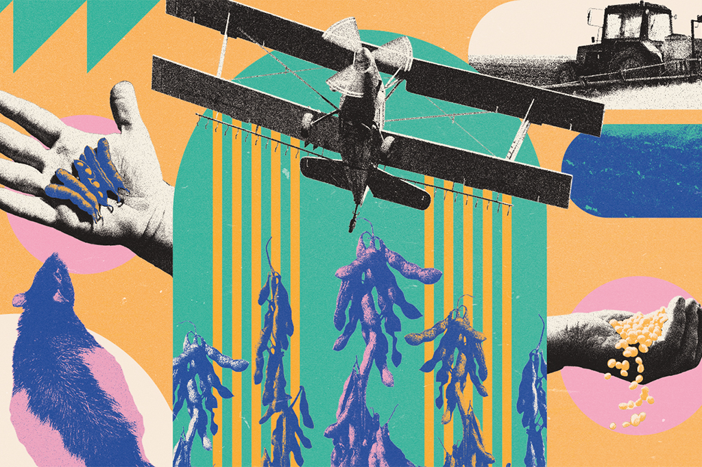 3 notícias sobre: glifosato