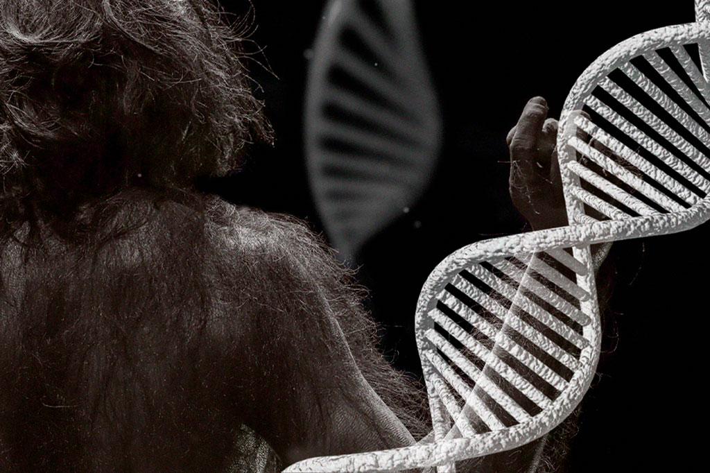 Brasileiros têm 2,5% de DNA neandertal no genoma
