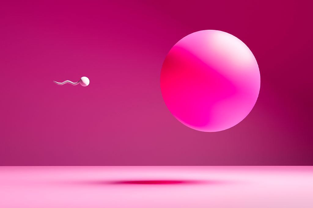 Por que temos somente as mitocôndrias das nossas mães?