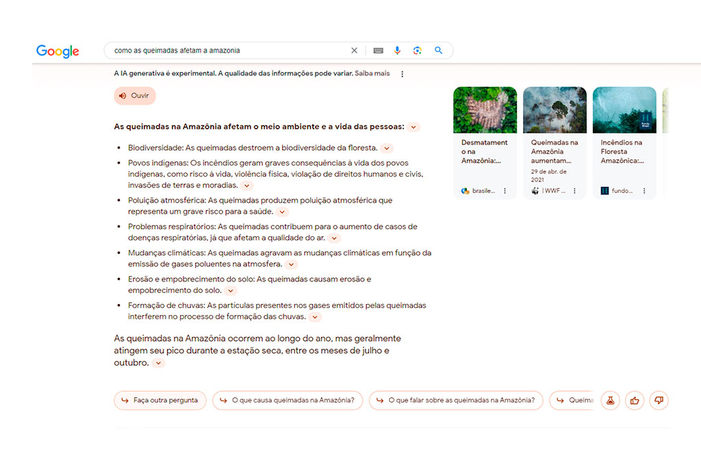 1113_SGE1_layout_site Queimadas na Amazônia.