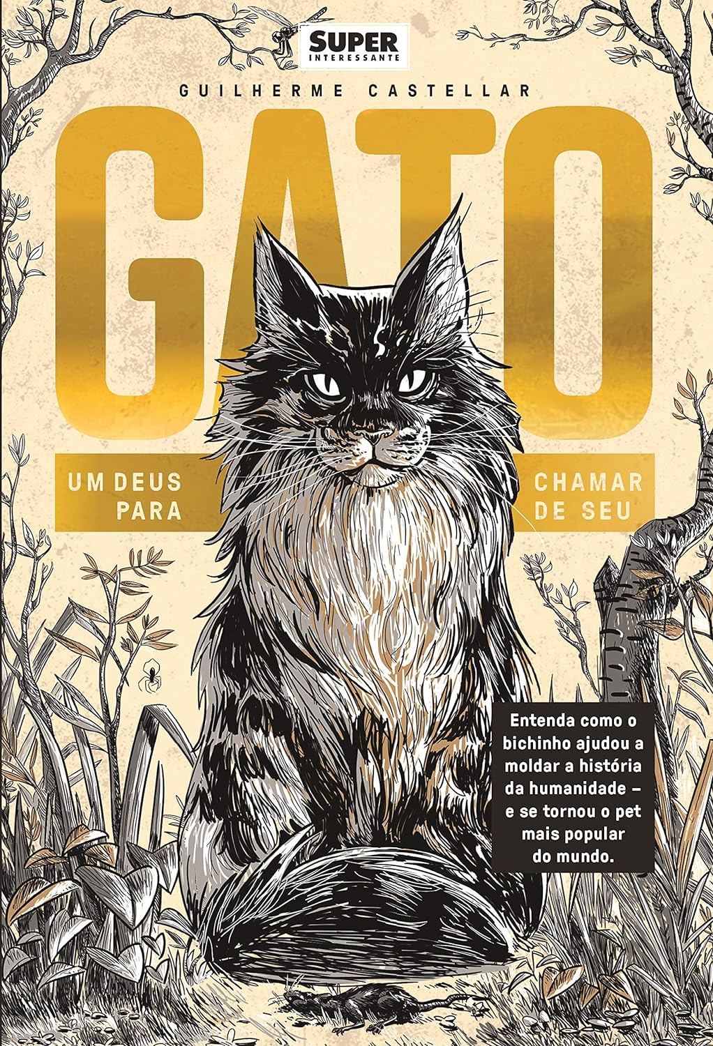 Livro Gato - Um Deus Para Chamar De Seu