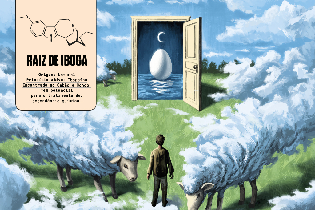 SI_457_Psicodelicos-iboga .