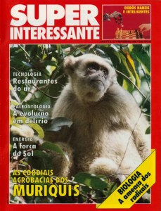 A Super de novembro de 1990