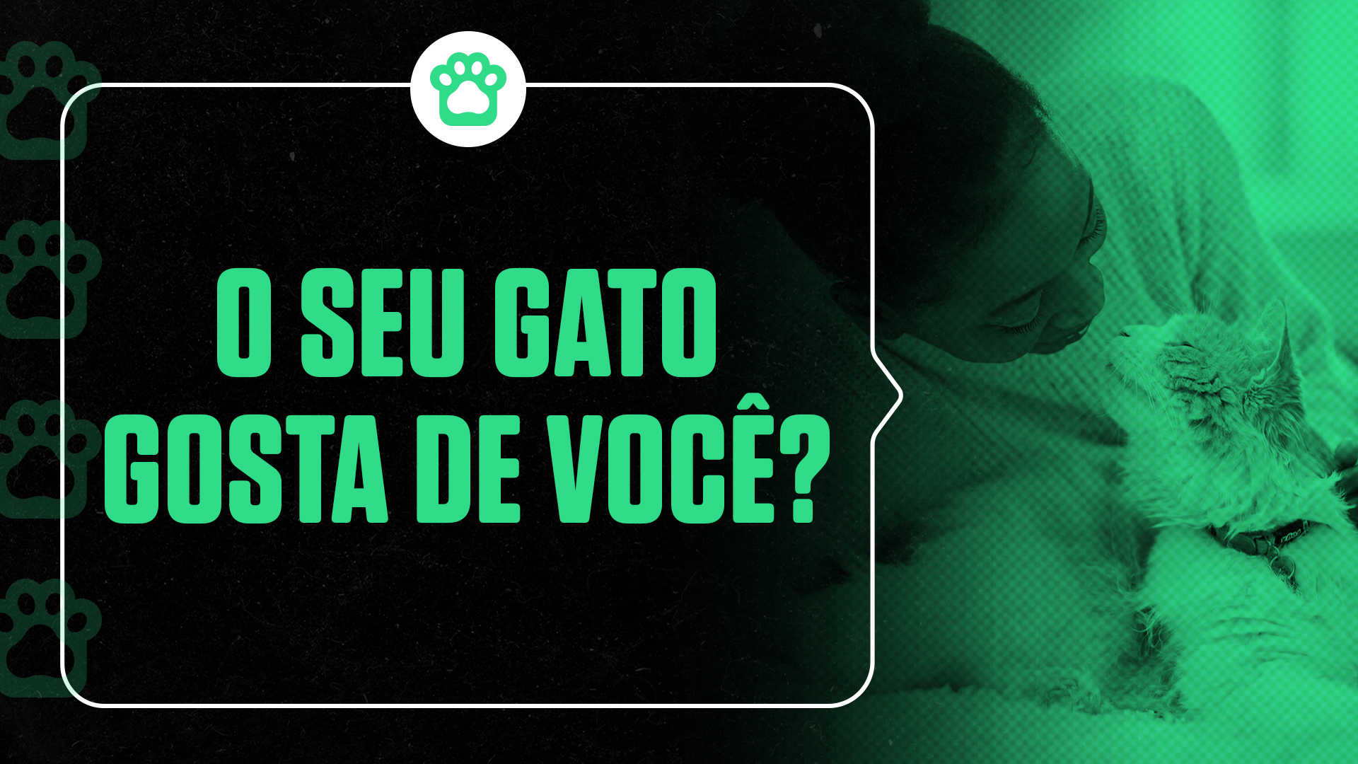 SuperVideos_Gatos_youtube_1