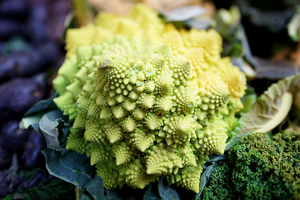 1104-padrao-fractal-romanesco-super-site Romanesco broccoli.