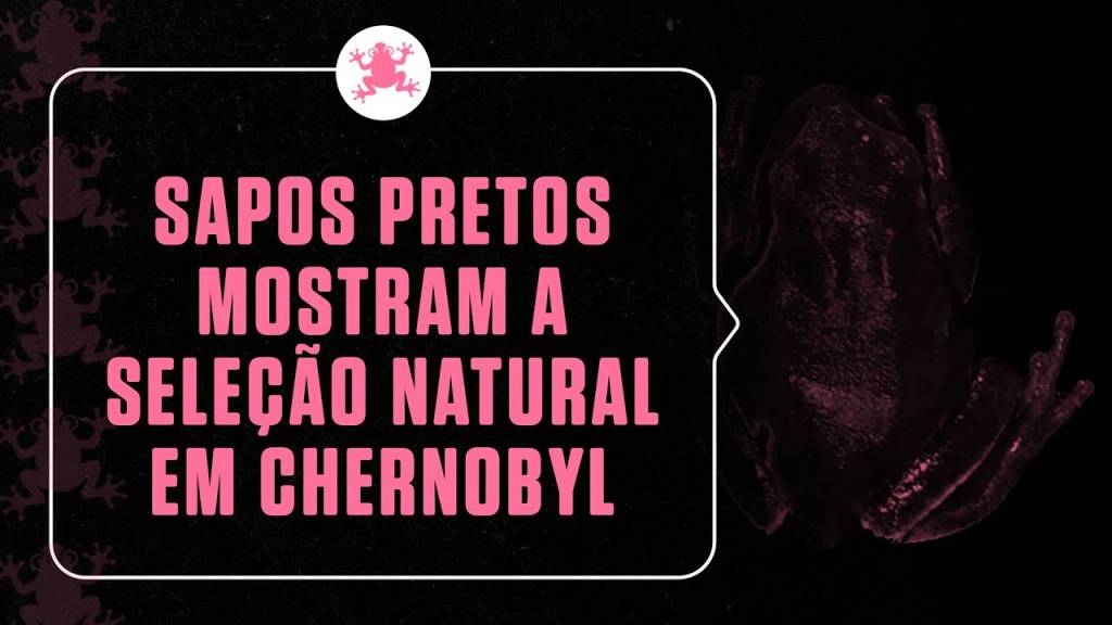 Sapos pretos mostram a seleção natural em ação em Chernobyl