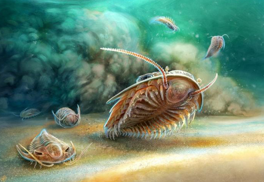 Reconstrução artística de duas espécies de trilobitas um instante antes do sepultamento em um fluxo de cinzas vulcânicas há 510 milhões de anos.