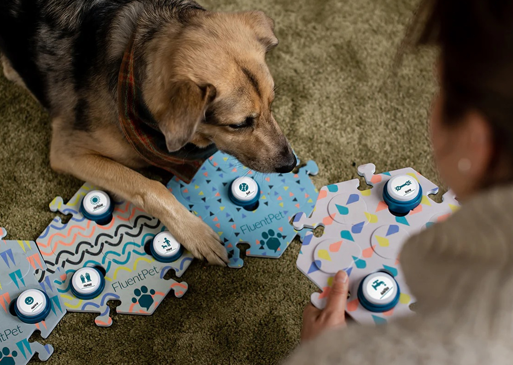 Cachorros podem entender palavras por meio de botões sonoros