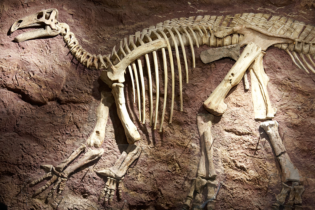 Cientistas desvendam o mistério do colágeno em fósseis de dinossauros