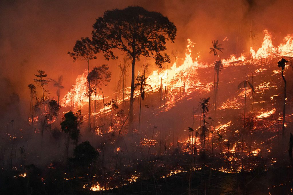 Queimadas podem afetar a qualidade da água por até oito anos depois do fogo
