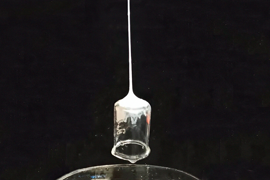 Foto da teia feita em laboratório que pode aderir a diferentes objetos.