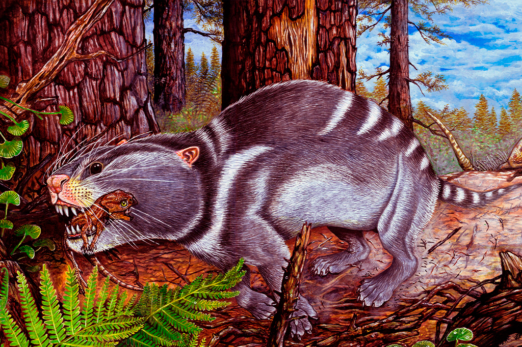 Entrevista: havia mamíferos que comiam dinossauros