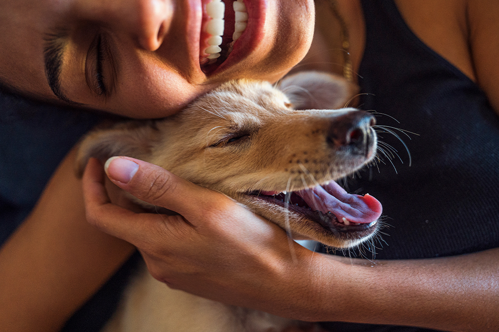 O que diferencia alguém que ama animais de quem não sente essa conexão?