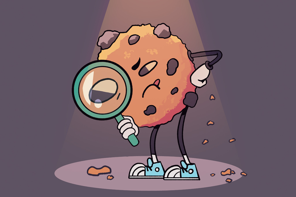 De onde vem o nome dos cookies de internet?