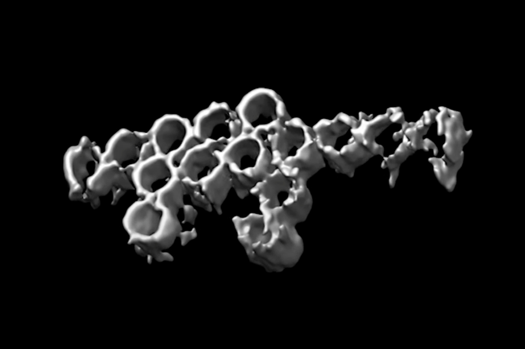 Pesquisadores transformam moléculas de DNA em Lego e constroem nano-dinossauro