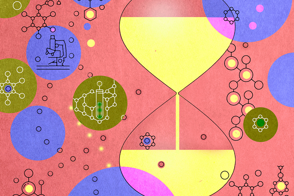 Qual é a diferença entre hipótese, teoria e fato na ciência?