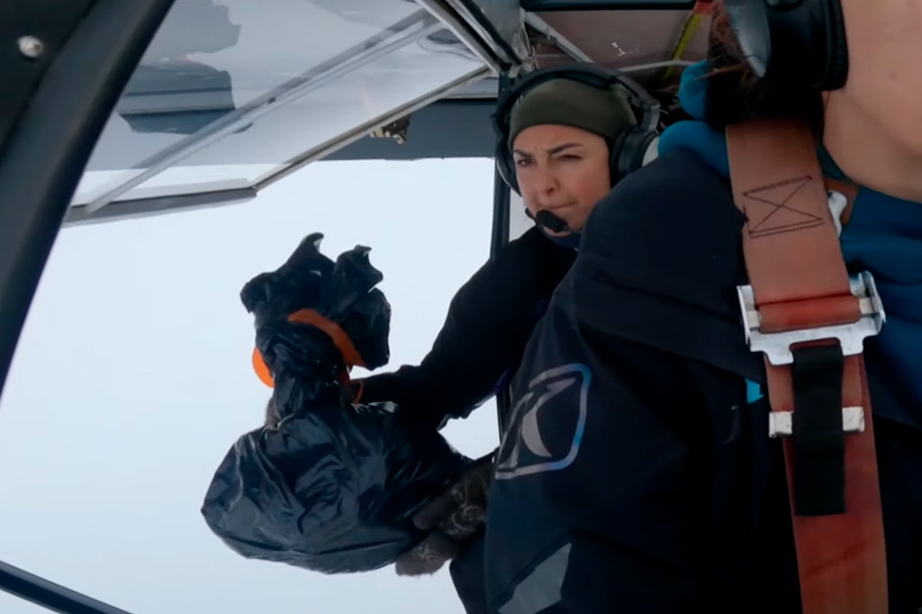 Delivery aéreo: avião lança perus de Ação de Graças para famílias isoladas no Alasca