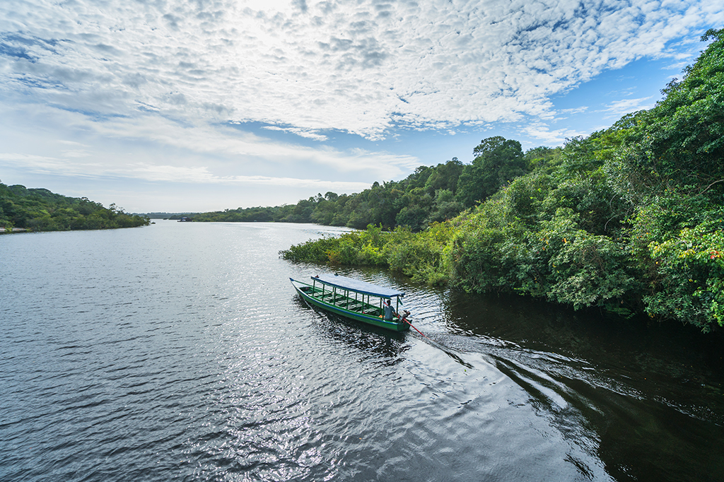 Foto de barco no afluente do Rio Negro. O barco está próximo da margem, que por sua vez é repleta de árvores.