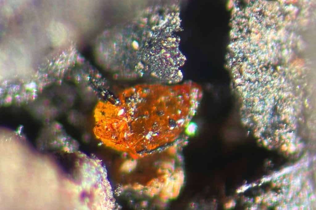 Foto de um Macrografia de um âmbar de aproximadamente 70 µm extraído da linhita nos sedimentos do núcleo MeBo.