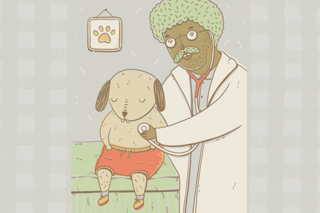 SI_470_Oráculo_Manual_1 Ilustração, em fundo cinza, de um cachorro passando em consulta numa clínica veterinária.