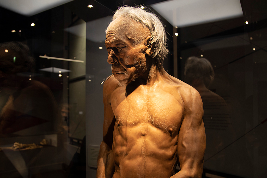 Tipo sanguíneo dos neandertais pode estar relacionado a sua extinção