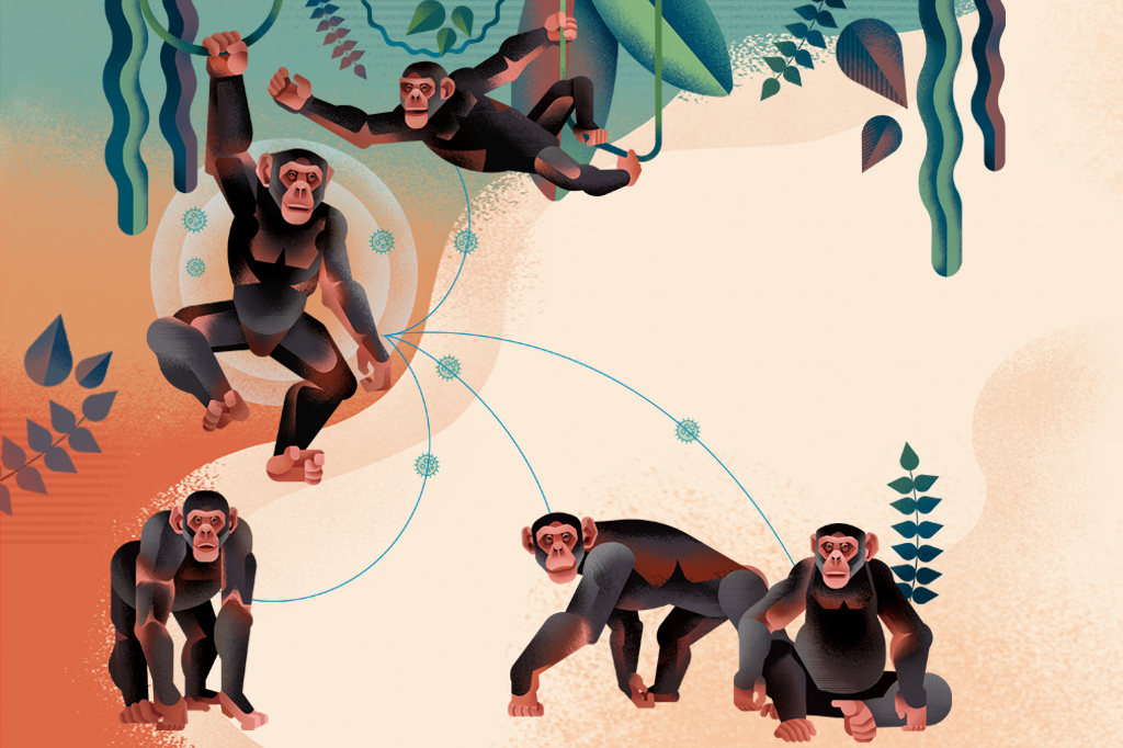 Vacinas transmissíveis: a possível arma contra a próxima pandemia