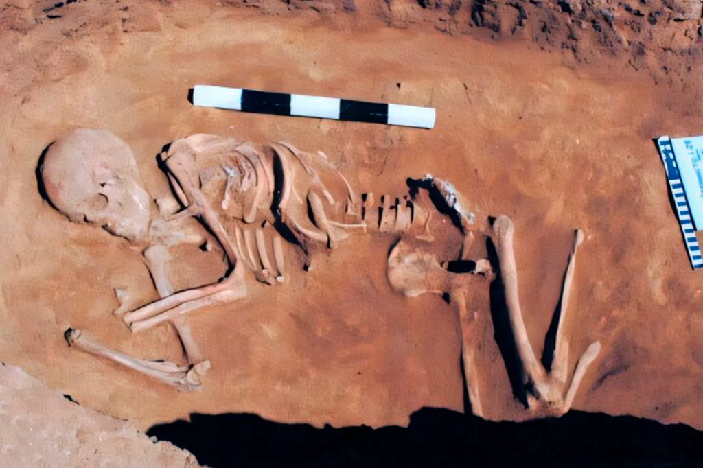 Fotografia do esqueleto que é o elo perdido na história das línguas indo-europeias.