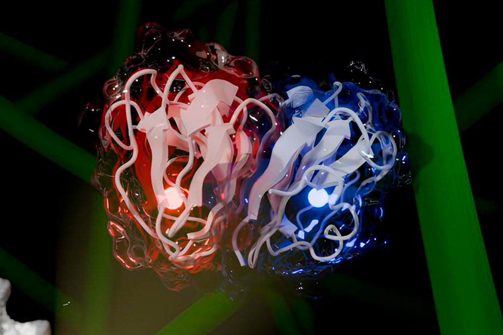 Cientistas brasileiros descobriram enzima que pode aumentar produção de biocombustíveis