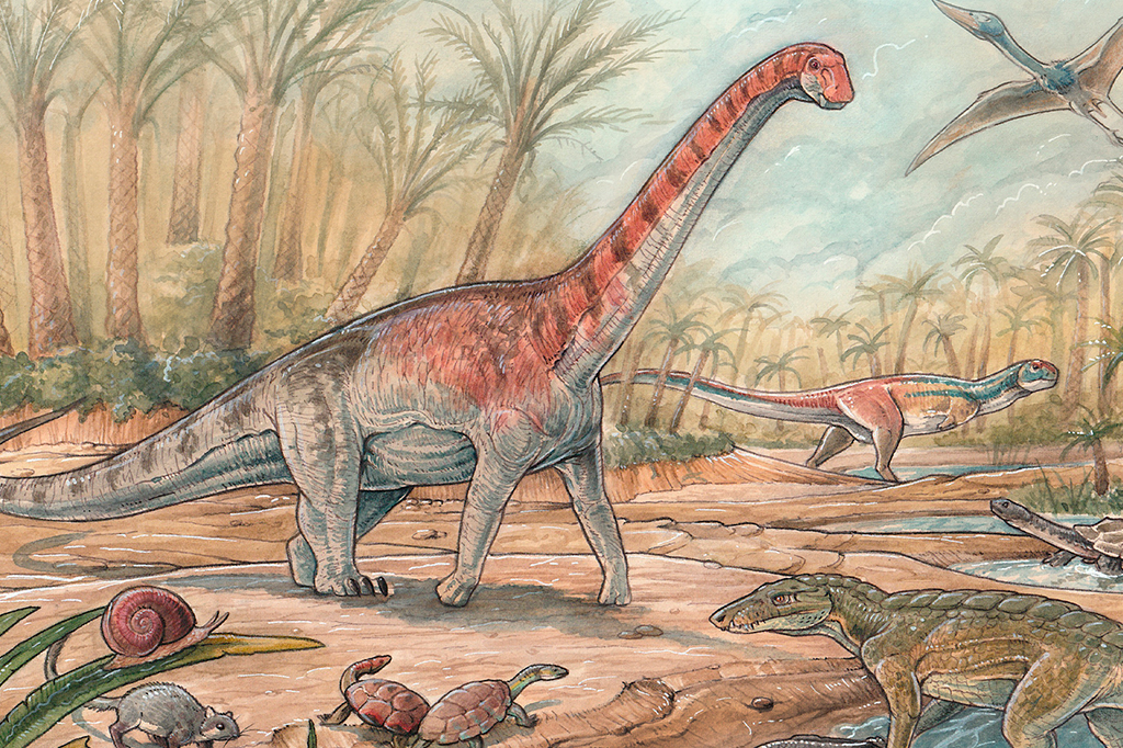 Nova espécie de titanossauro com “só” 6 m de comprimento é descoberta na Argentina