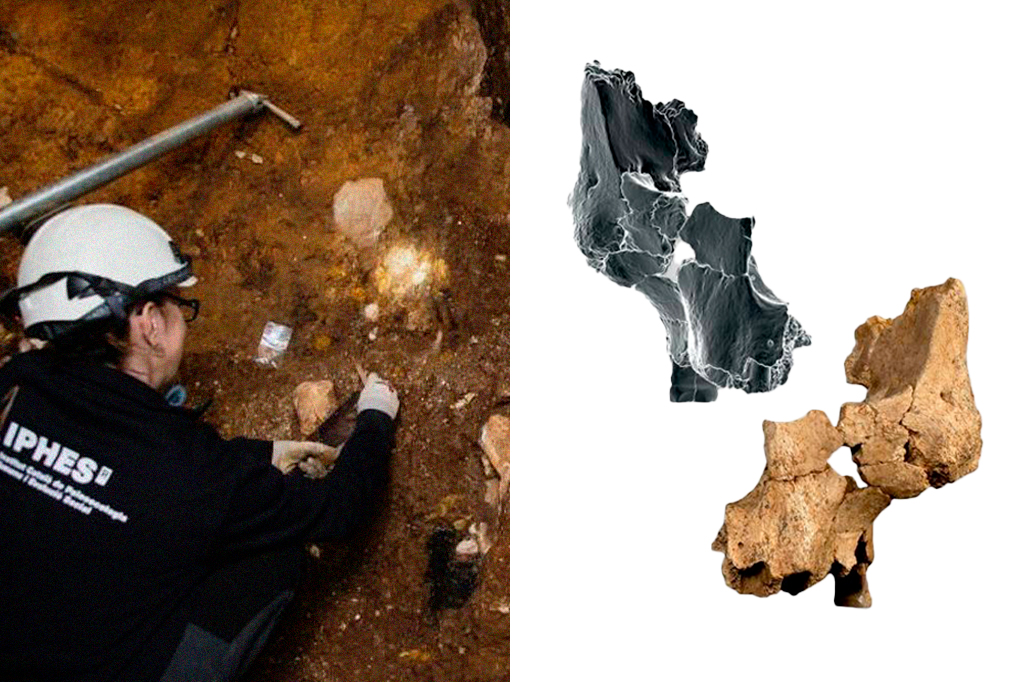 Ossos faciais de 1,1 milhão de anos revelam ancestral humano na Espanha