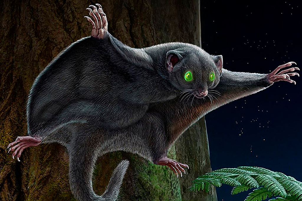 Os primeiros mamíferos eram todos da mesma cor, sugere estudo