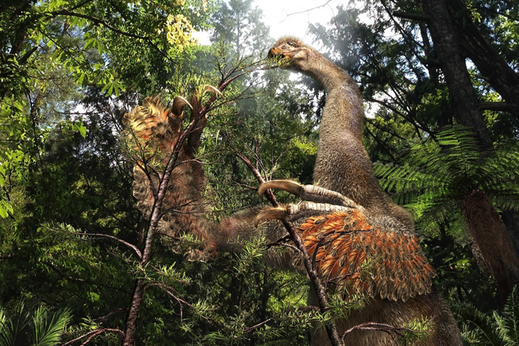 Uma ilustração mostra como Duonychus tsogtbaatari poderia ter se parecido. Ao contrário de seus irmãos therizinosaurus, a nova espécie tinha apenas duas garras em vez de três.