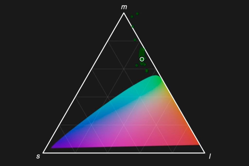 Imagem de um Esquema criado pelos pesquisadores mostra a gama de cores naturalmente visíveis para os seres humanos (na parte colorida do triângulo) e a nova cor identificada após estimulação da retina.