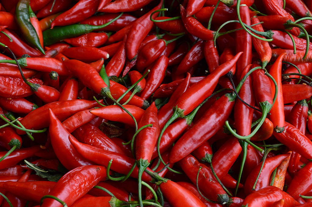 Certas pimentas têm moléculas que atenuam a própria picância