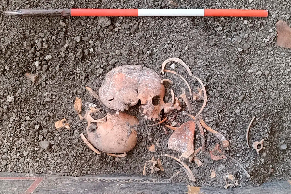 Fotografia dos restos humanos encontrados na casa em Pompeia.