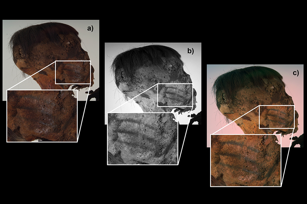 Esta múmia sul-americana tem tatuagens diferentes de todas já encontradas