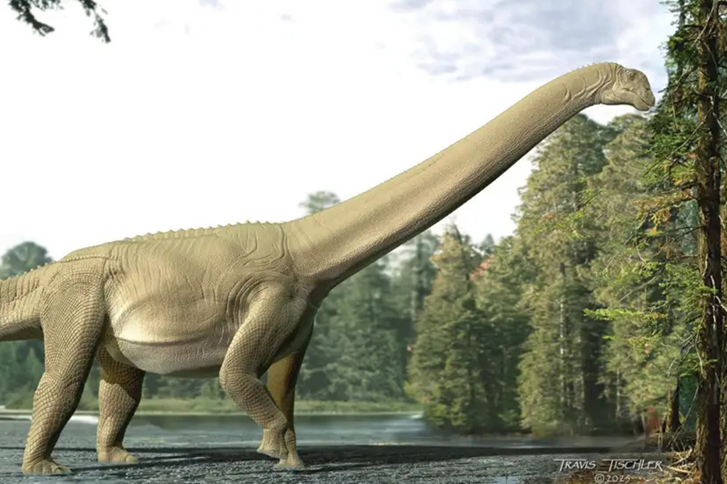 Cientistas encontram primeira prova fóssil de que dinossauros pescoçudos eram vegetarianos