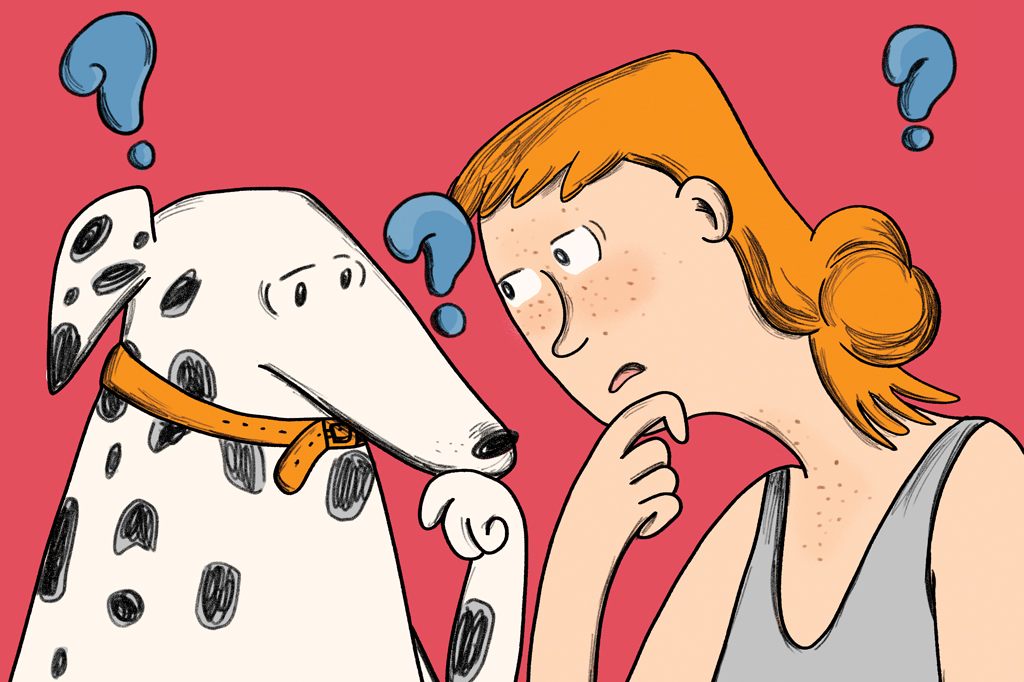 Por que existem e para que servem as pintas?