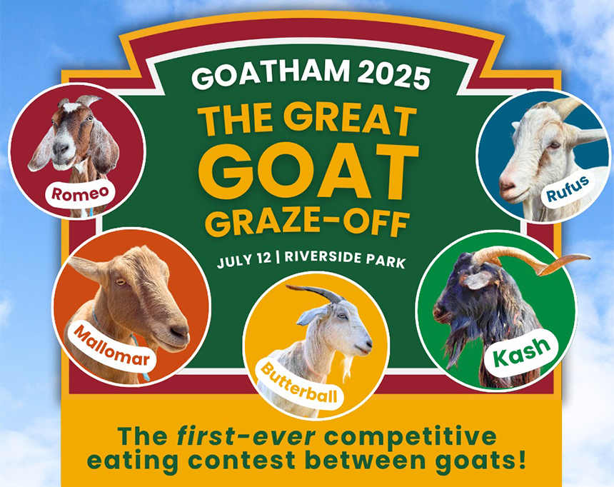 Imagem das cinco cabras que se enfrentarão em um evento ao vivo.