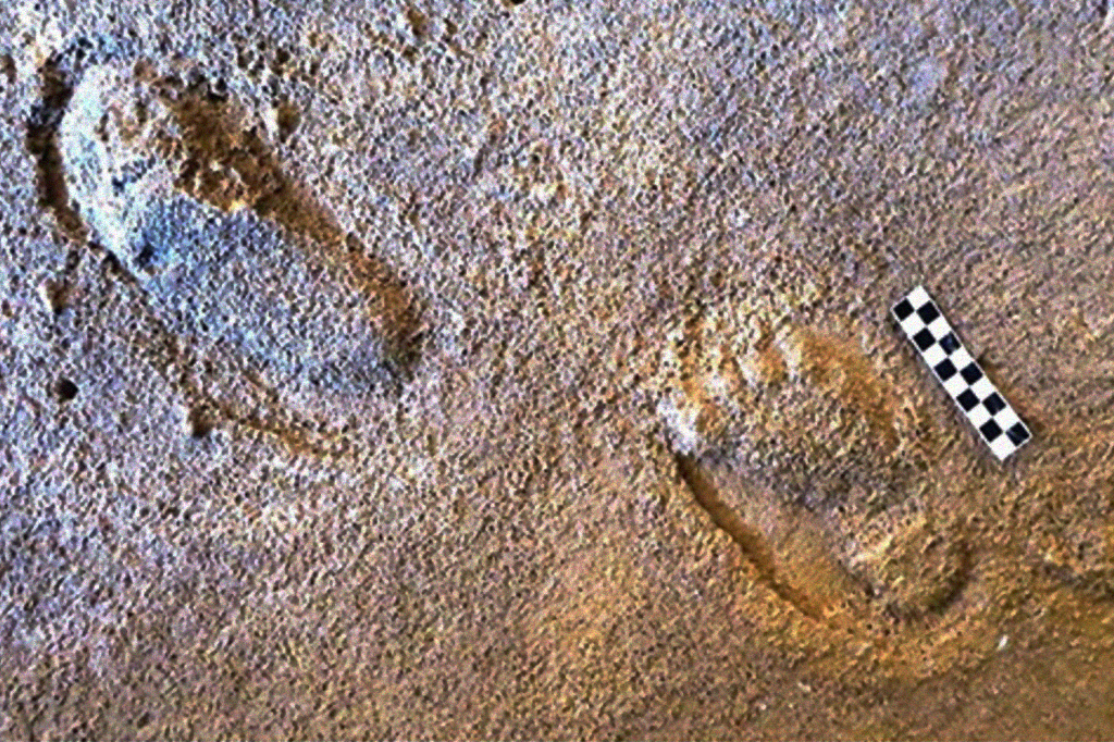 Pegadas fósseis em Portugal revelam estratégia de caça inusitada dos neandertais