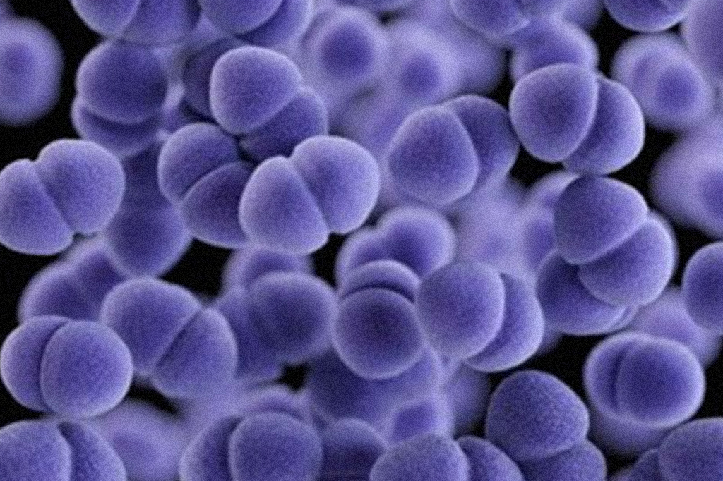 Gene mutante pode ser solução contra uma superbactéria de infecção hospitalar