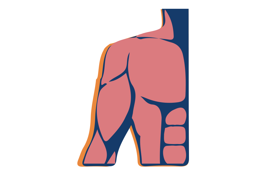 Ilustra&ccedil;&atilde;o, em fundo branco, de um corpo humano masculino.