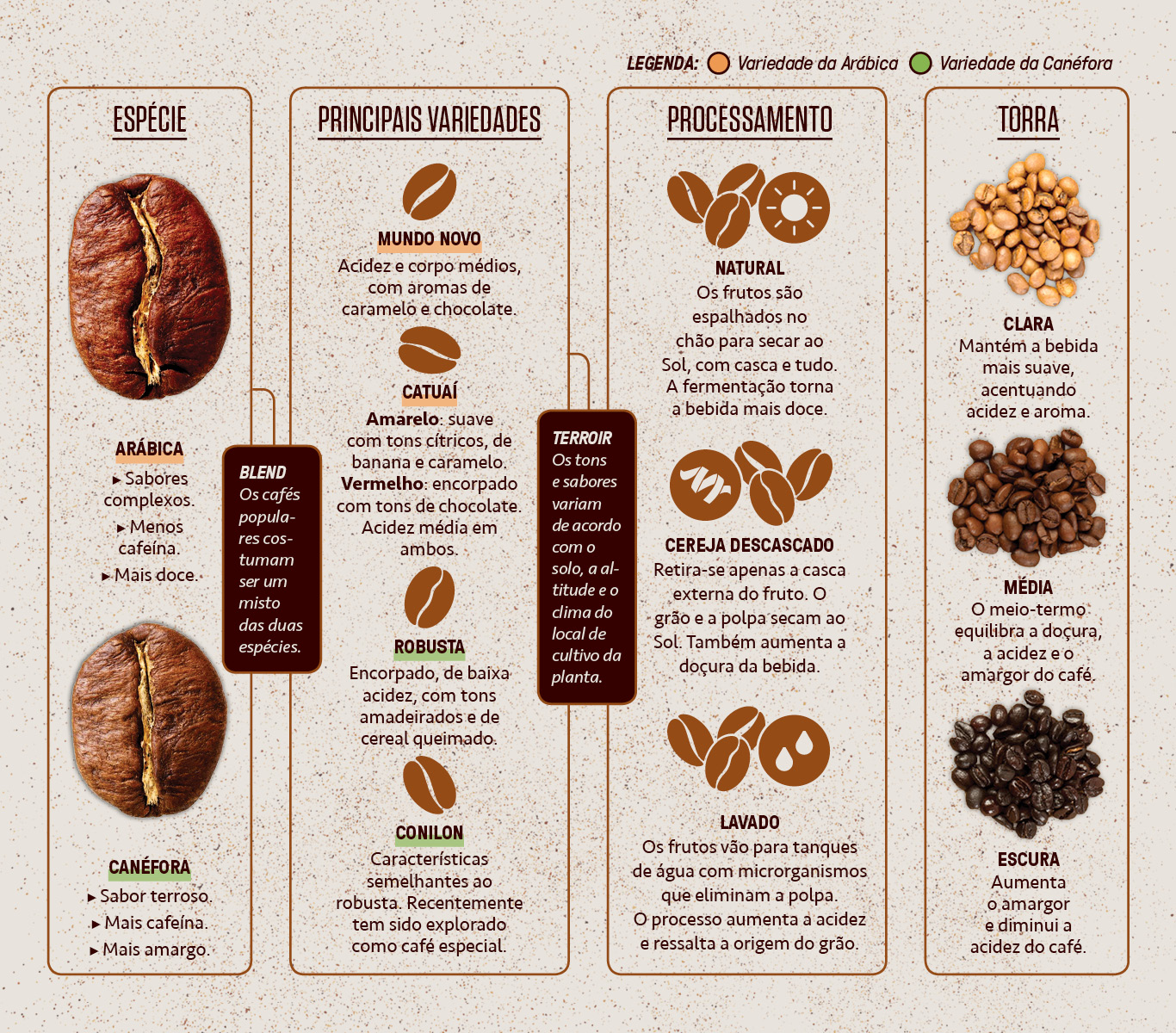 Gr&aacute;fico, em fundo mesclado, com explica&ccedil;&otilde;es sobre os tipos de caf&eacute;.
