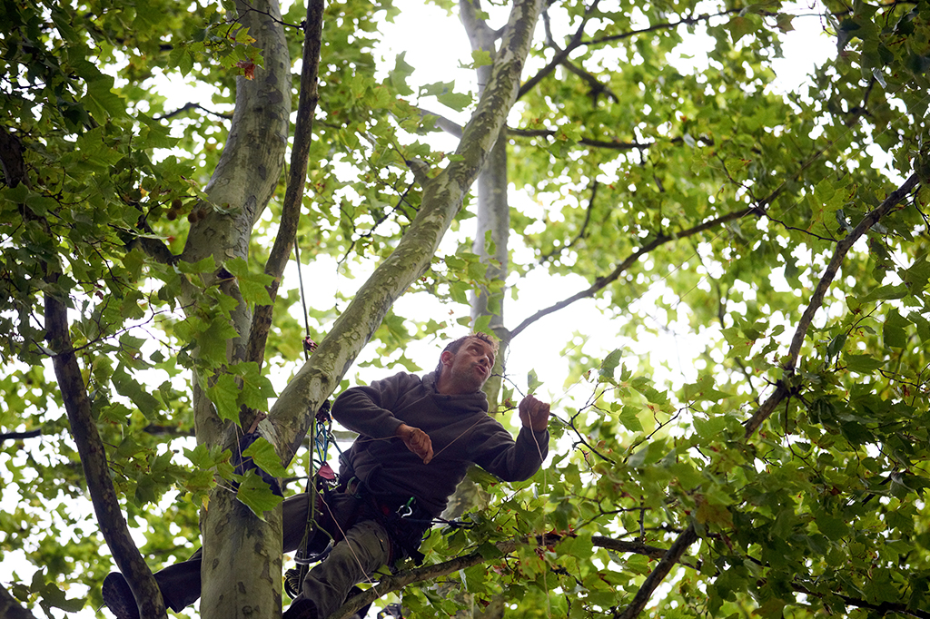 Como a matemática pode ajudar a salvar o meio ambiente