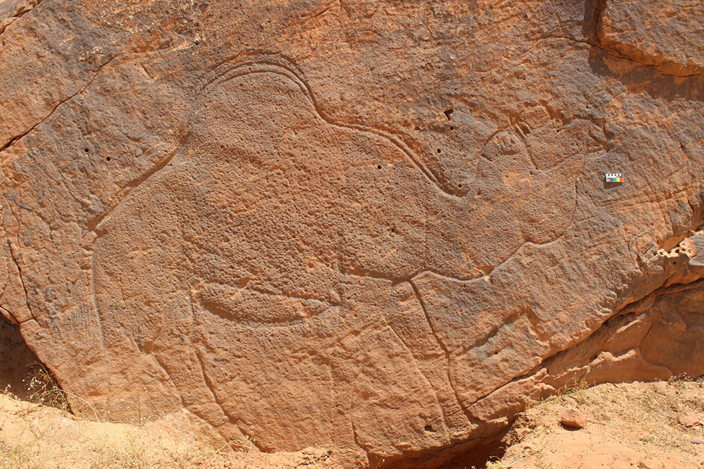 Gravuras de animais de 12 mil anos sinalizavam fontes de água no deserto árabe