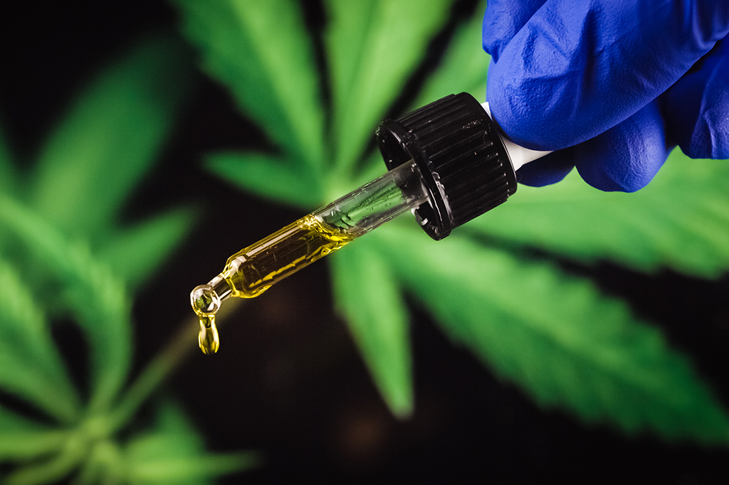 Extrato de cannabis mostra eficácia contra dor lombar crônica em estudo clínico