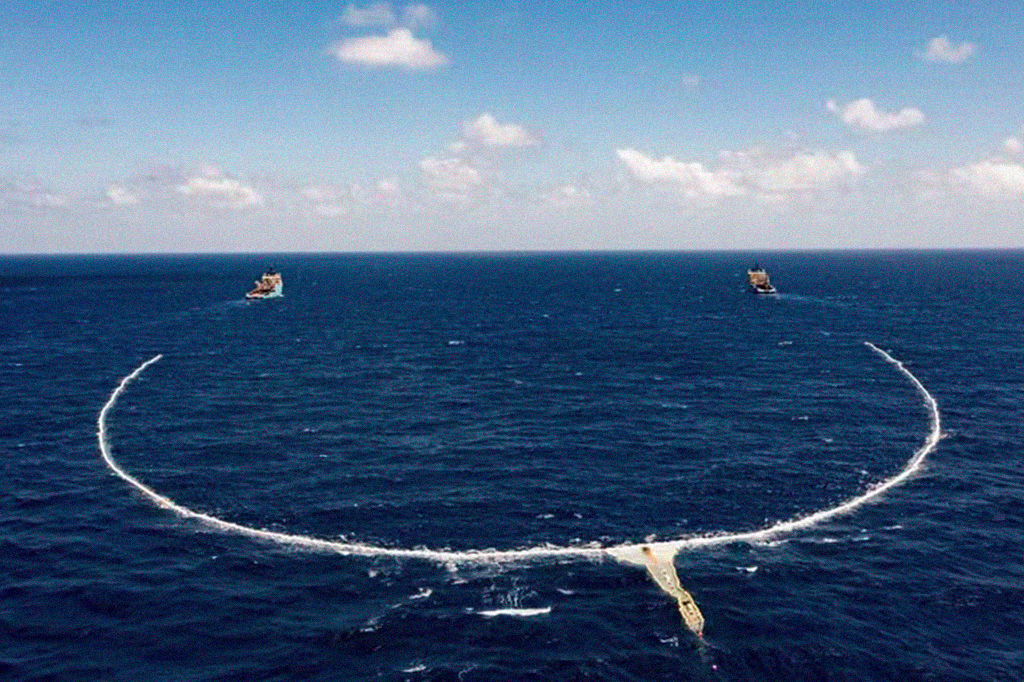 A Grande Mancha de Lixo do Pacífico criou seu próprio ecossistema: a Plastifera